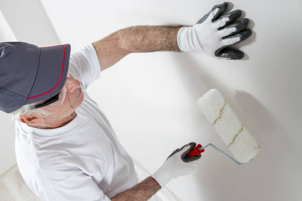 Best Ceiling Painting Services  in King George, VA